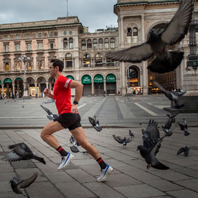 Correre per superare sé stessi, le ansie e i piccioni.

Maratona di Milano Special Edition | Race Collection

#wildtee 

#maratonadimilano2023 

📸 @xskillyx 
🏃 @runfromdivan