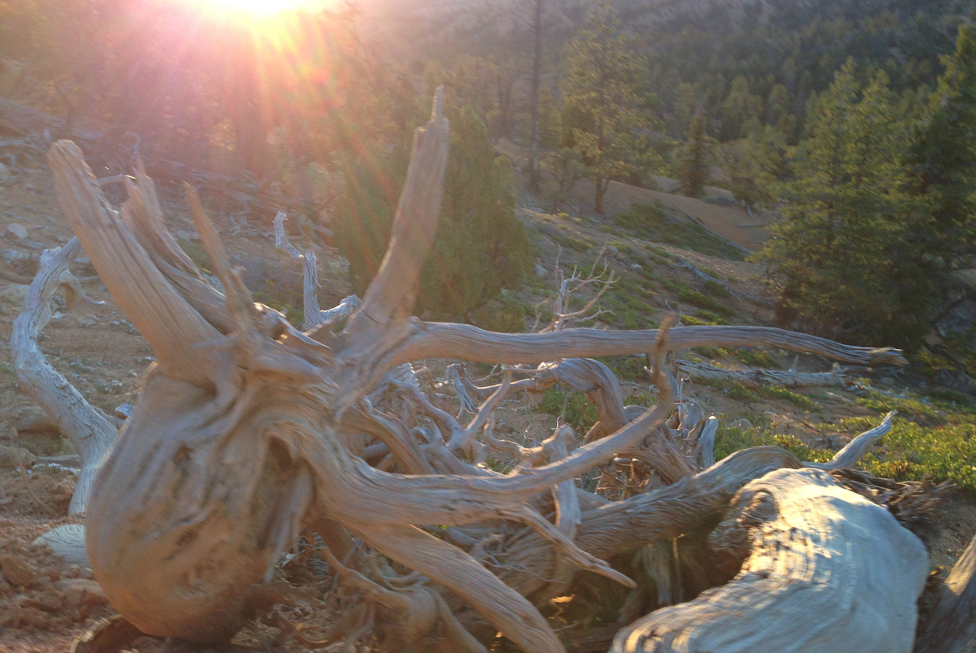 Bryce Canyon 100 M