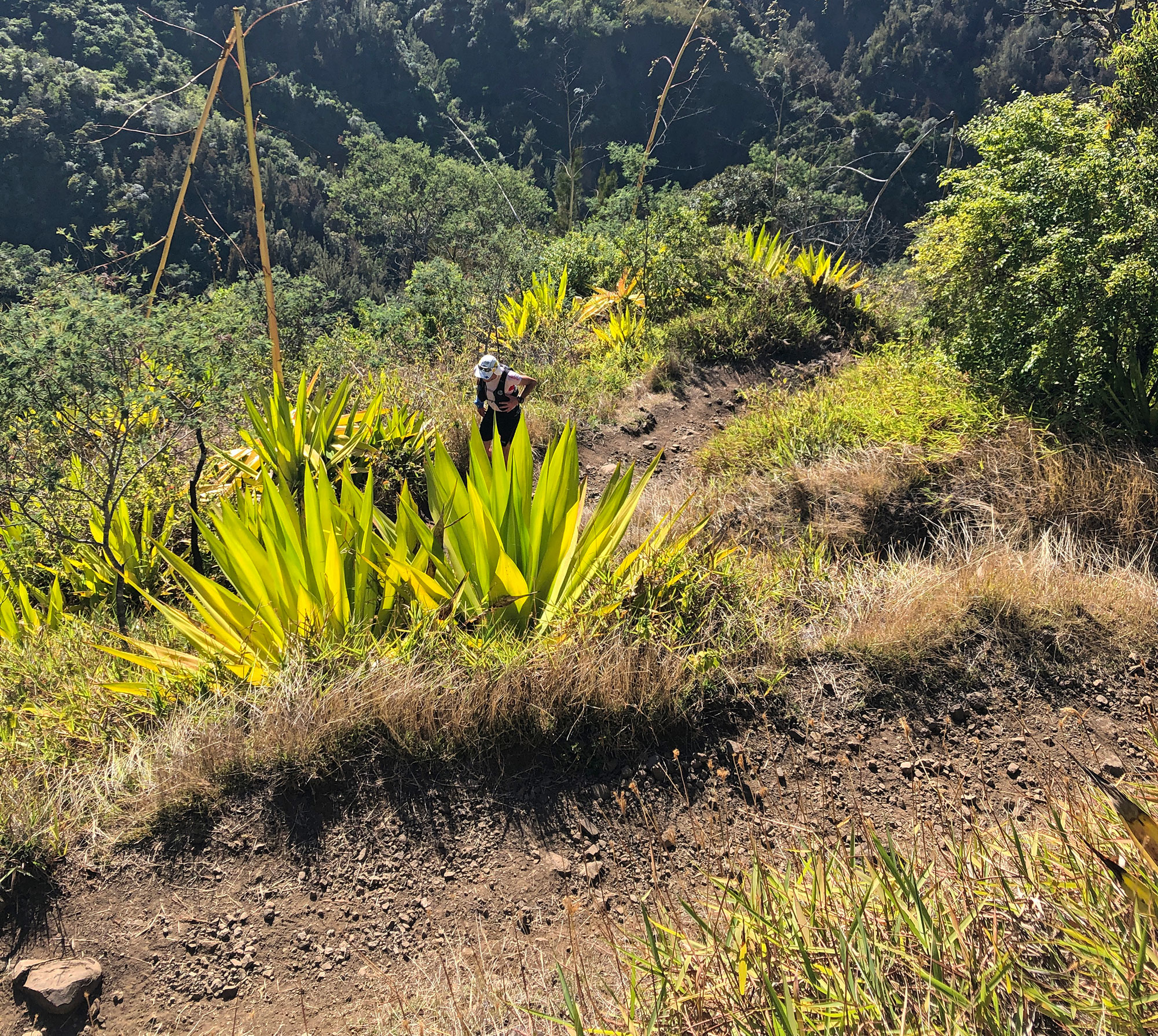 Gran Raid de la Réunion